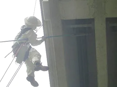 公共の交通機関などの蜂の巣駆除