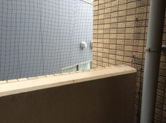 大阪市淀川区ハト駆除