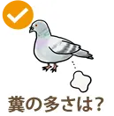 鳩のフンの多さは?