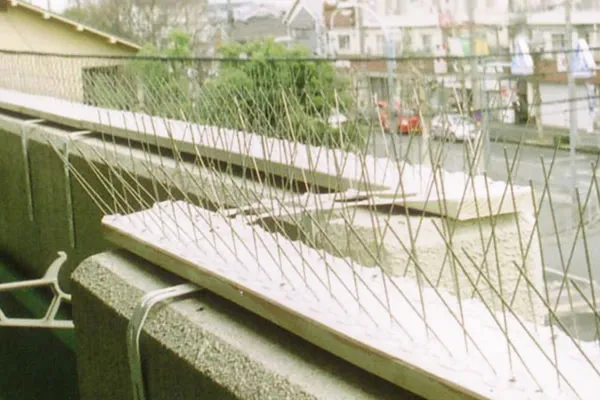 鳩よけプロテクター施工