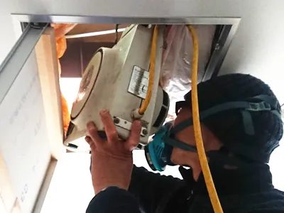 天井裏のイタチ糞尿消毒