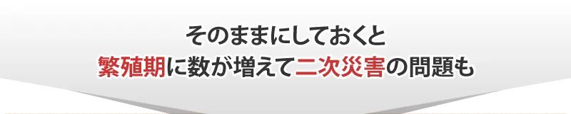 そのままにしておくと
                                        繁殖期に数が増えて二次災害の問題も