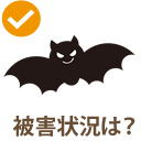 被害状況は?