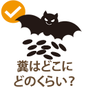 糞はどこにどのくらい?