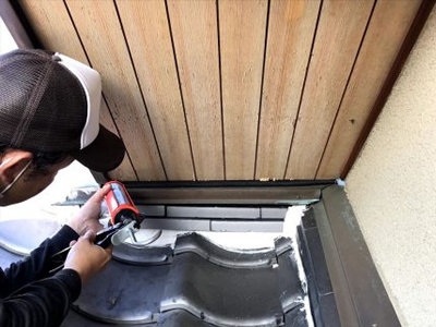 天井裏コウモリ駆除