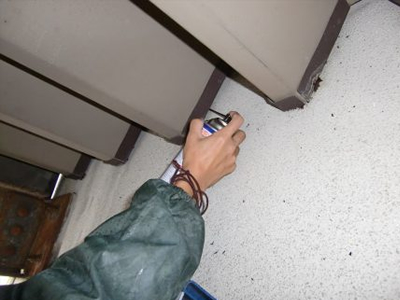 換気口内のコウモリ駆除