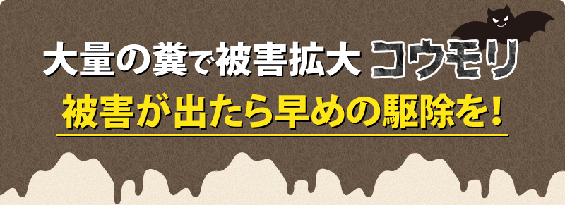 コウモリの被害が出たら早めの駆除を！