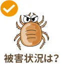 被害状況は?