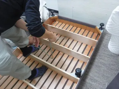 家の中のトコジラミ駆除