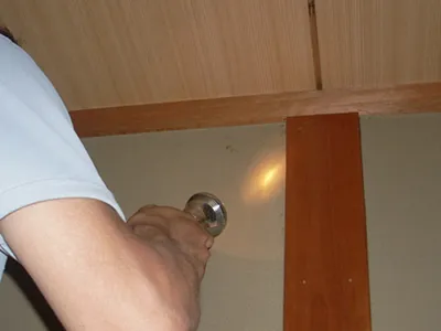 トコジラミが残っていないか確認