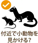 付近で小動物をみかける?