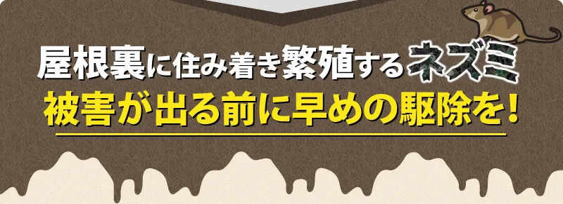ネズミの被害が出たら早めの駆除を!