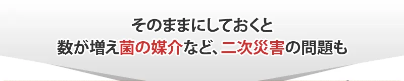 そのままにしておくと繁殖期に数が増えて二次災害の問題も