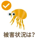 被害状況は?