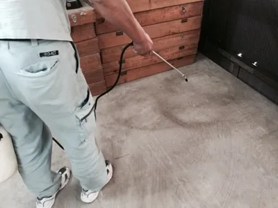 家の中のノミ駆除