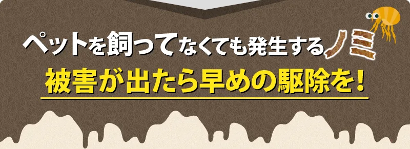 ノミの被害が出たら早めの駆除を！