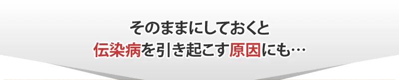 そのままにしておく伝染病を引き起こす原因にも…