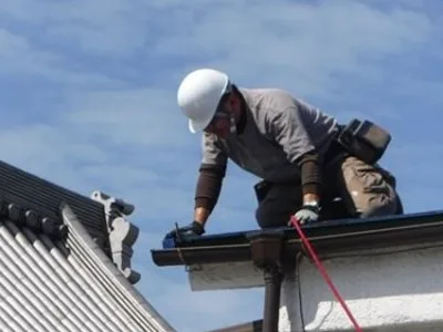 屋根のセアカゴケグモ駆除