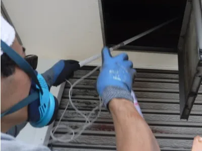 屋内付近のセアカゴケグモ駆除