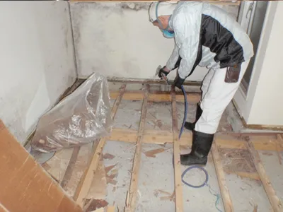 施設のシロアリ駆除