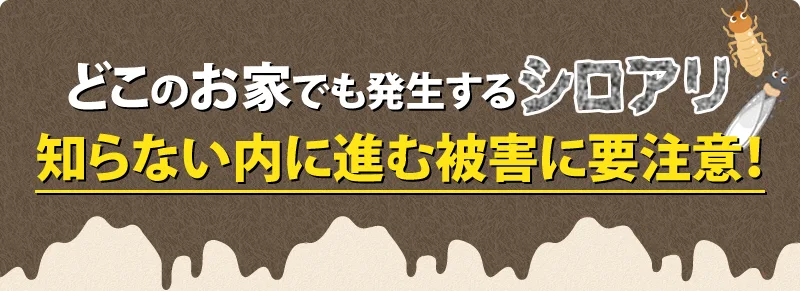 シロアリの被害が出たら早めの退治を！