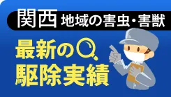 関西地域の害虫・害獣最新の駆除実績