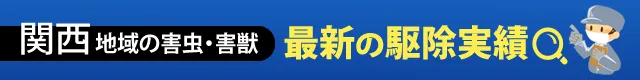 関西地域の害虫・害獣最新の駆除実績