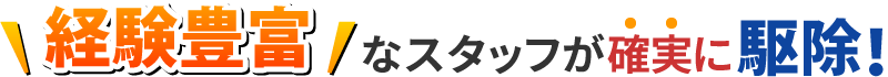 経験豊富なスタッフが確実に駆除！