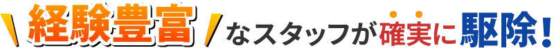 経験豊富なスタッフが確実に駆除！