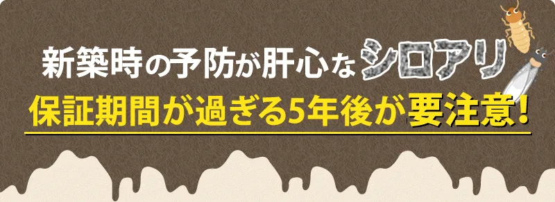 シロアリの予防は新築時が肝心!